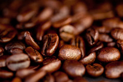 Grains of roasted coffee|Granos tostados